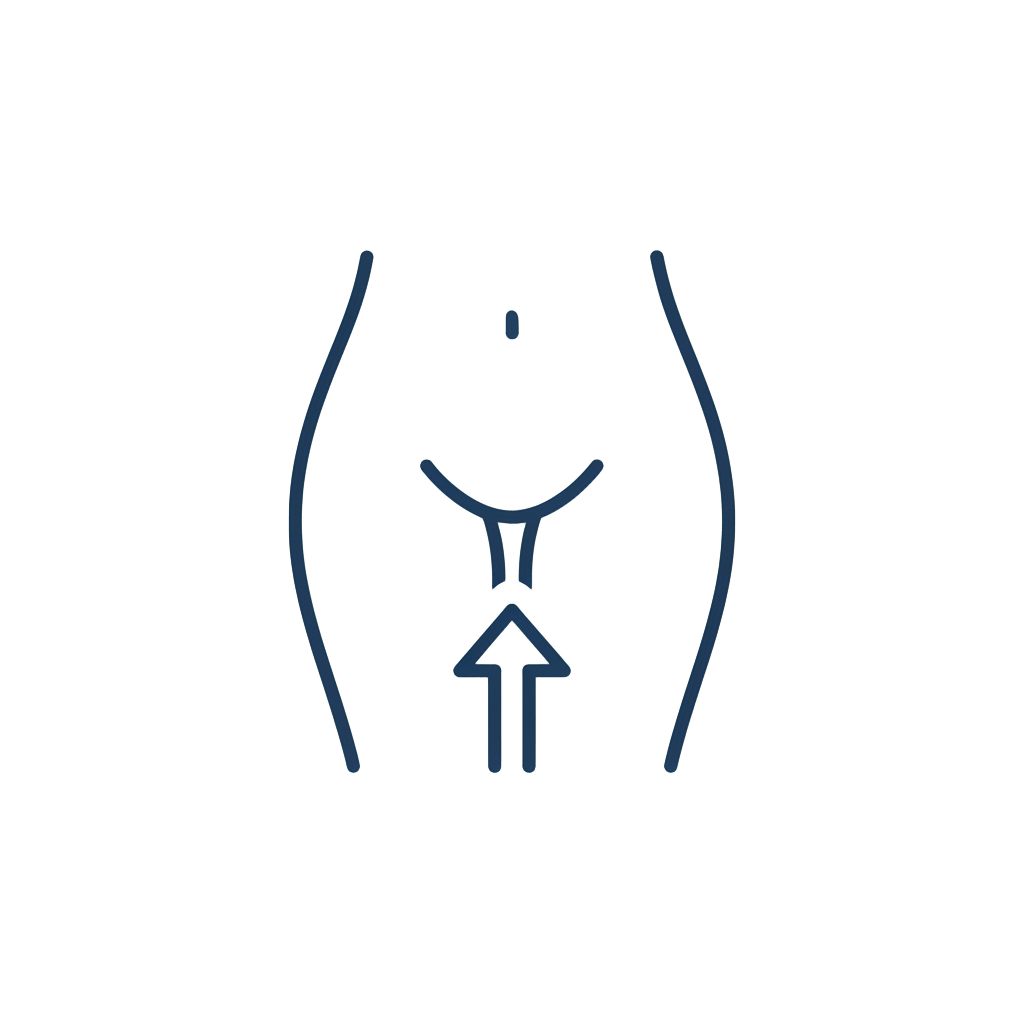 Cruroplastia (Lifting de Muslos)